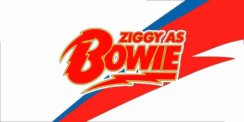 Ziggy as David Bowie